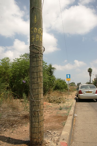 צורת הפתח 