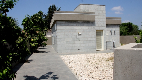 IMG_8911.JPG