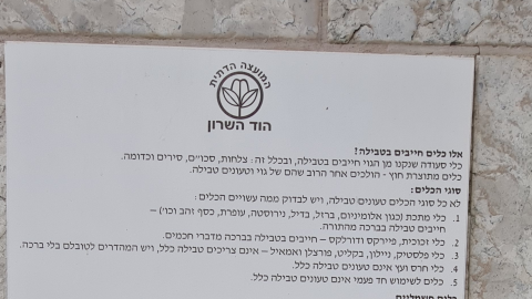 תמונה 1.png